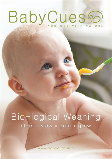 Babycues Bio Logical Weaning Guide