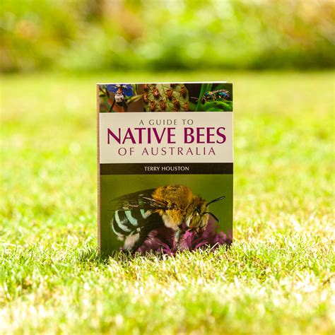 Share 90 About Bees In Australia Hot Nec