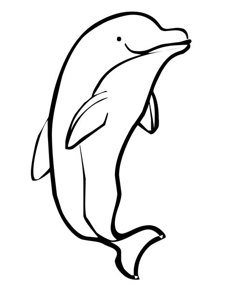 Free Dolphin Line Art Clipart Best