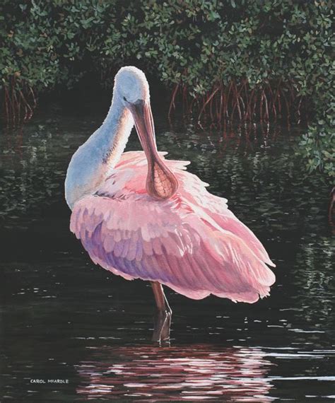 Roseate Spoonbill Art In 2020 Selling Paintings Watercolor Bird