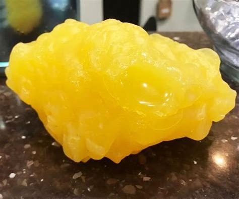 Human Body Fat Replica 1 Pound Fat Model Fat Anatomical Fat Model For