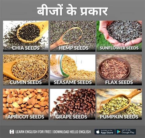 Types Of Seeds Food Vocabulary English Vocabulary Words Learning