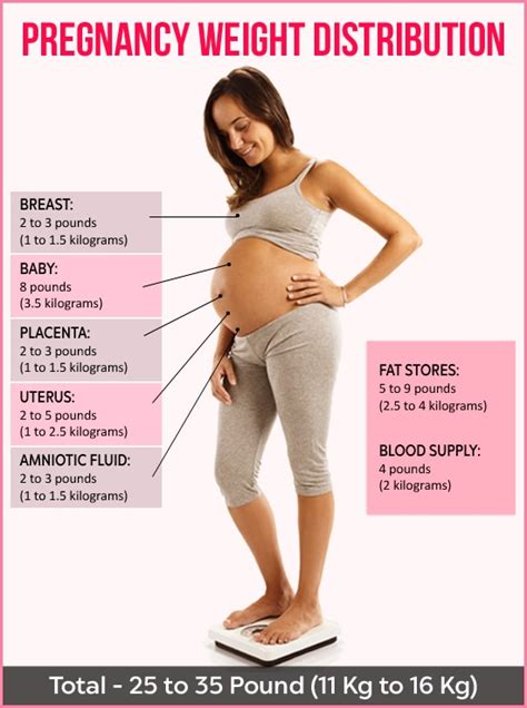 Twin Pregnancy Weight Gain Chart Hot Sex Picture