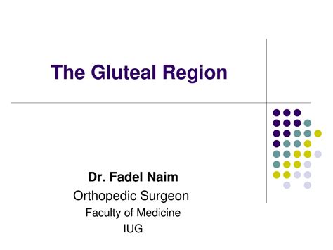 Ppt The Gluteal Region Powerpoint Presentation Free Download Id