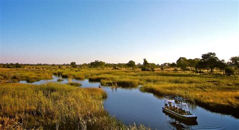 Chobe National Park Botswana Expert Africa