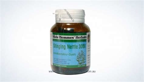 Hilde Hemmes Herbal S Stinging Nettle Mg Vc Health Food Store