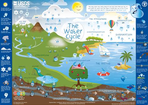 Water Cycle Chart For Kids Student Handouts