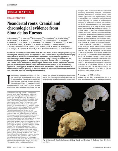 Neandertal Roots Cranial And Chronological Evidence From Sima De Los