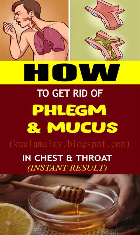 get rid of phlegm and mucus in chest and throat with these home remedies health and wellness