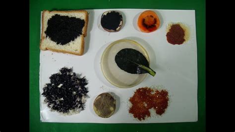 Modified starches are used widely in the food industry. Starch Test | Iodine and Starch Experiment | Iodine ...