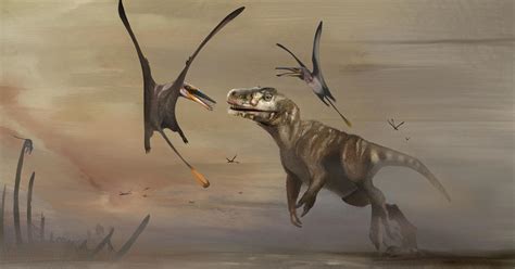 Fossil Of 170 Million Year Old Flying Pterosaur Unearthed In Scotland Is Largest Of Its Kind