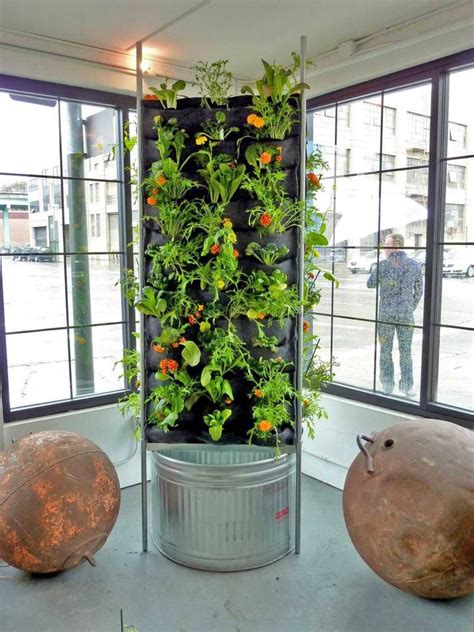 Chris Bribach Of Plants On Walls Created An Aquaponic