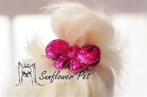 Maltese Shining Bright Pet Headdress Head Flower Pet Heartbowstar