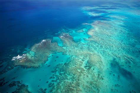 Great Barrier Reef Natures Sunken Garden Tropical North Qld