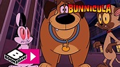 Corre por tu conejo | Bunnicula, el conejo vampiro | Boomerang - YouTube