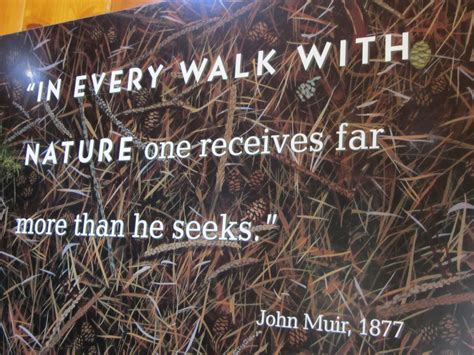 John Muir, 1877 | John muir, Words, Travel blog