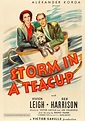 Storm in a Teacup (1937) movie poster