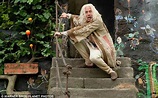 Harry Potter And The Deathly Hallows: First look at Rhys Ifans as ...