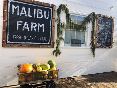 Malibu Farm Um Café Imperdível No Píer De Malibu Na Califórnia