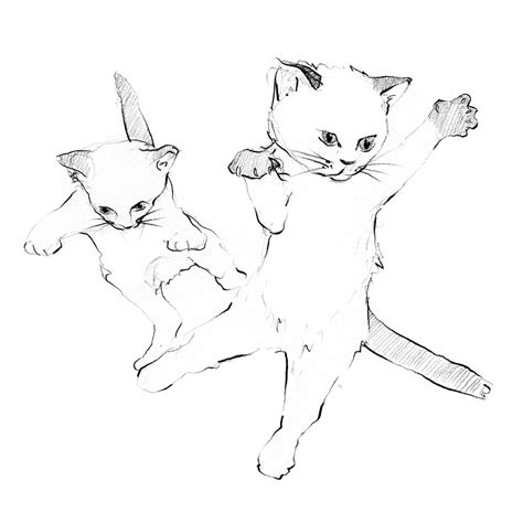 Jumping Cats Drawing Illustration Graphite Nathalie Guinamard