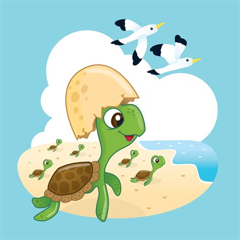 Sea Turtle Clipart