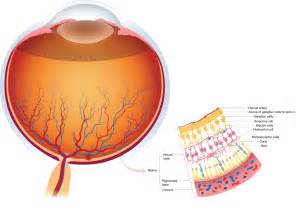 Retina Services at Dedham Ophthalmic Consultants