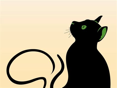 Cat Graphics Vector Art And Graphics