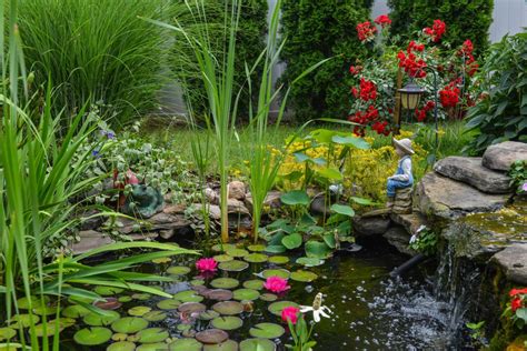 Best Pond Plants Squires Garden Centres