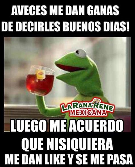 Pin By Maria Maldonado On La Rana Rene Memes Memes Cafe Quotes Humor