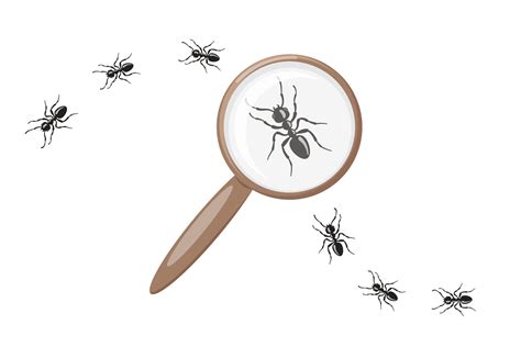 Ant Under Magnifying Glass Insect Research Concept Vector