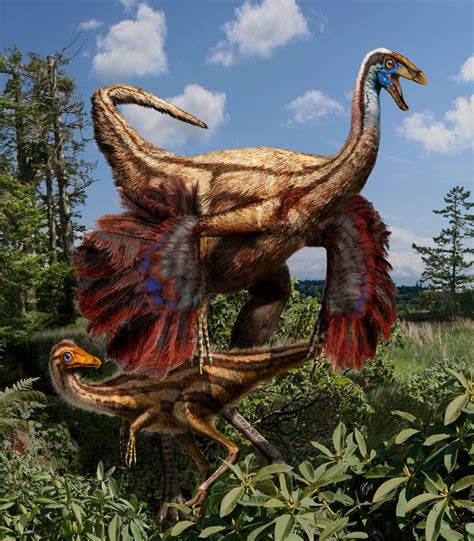 This Is An Artistic Reconstruction Of Feathered Ornithomimid Dinosaurs