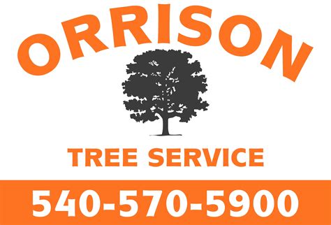 When to Trim Trees in Virginia — Orrison Tree Service