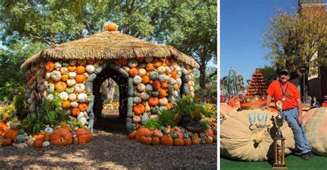 19 Amazing Fall Festivals To Visit This Year In The United