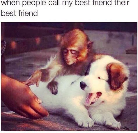 Hilarious Memes Only Best Friends Will Understand