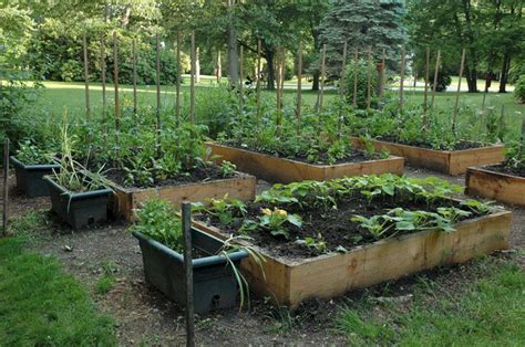 24 Interesting Container Vegetable Gardening Ideas For Beginners