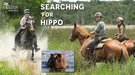 The Best Horse Ride Ever Searching For Hippo On A Horseback Safari In