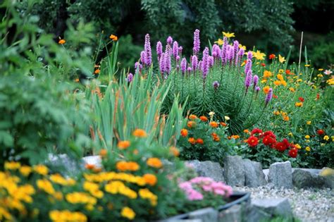 Plant, pest and disease identification are much easier with geographical context. Choosing Plants for a Small Garden Space