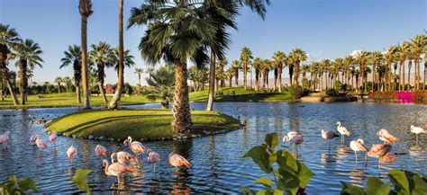 Marriott Desert Springs Villas | The Timeshare Brokers - Premier ...