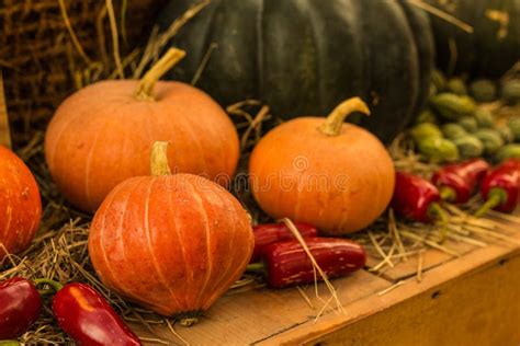 Autumn Pumpkin Thanksgiving Background Orange Pumpkins Over Rusty