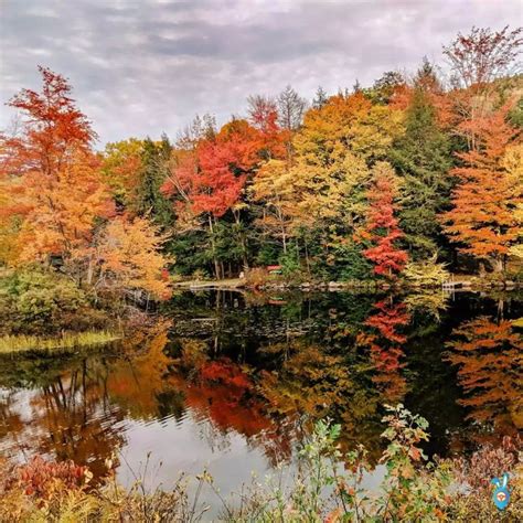 Ultimate Fall Foliage Road Trip In Vermont A Complete Itinerary 13 In