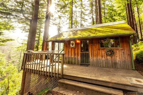Inviting Cabins In The Trees Surrounded By Redwoods Near Big Sur