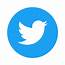 Twitter Icon Circle Blue Logo Preview  Utility People