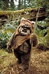'Return Of The Jedi' Turns 30: Secrets Of Ewok Language Revealed ...