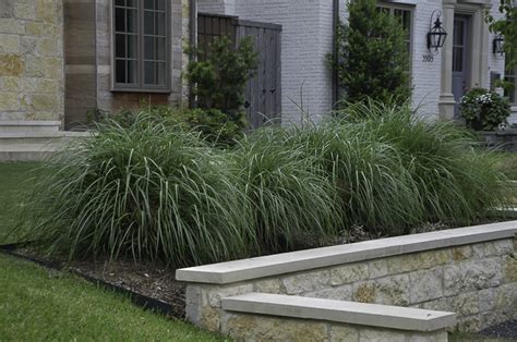 Ornamental Grasses In Texas Lee Ann Torrans Gardening