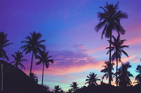 Summer Silhouetted Palm Trees Pattern During Beautiful