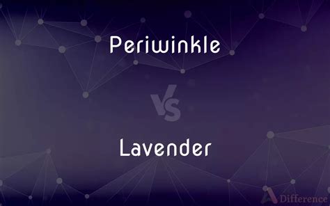 Periwinkle Vs Lavender — Whats The Difference