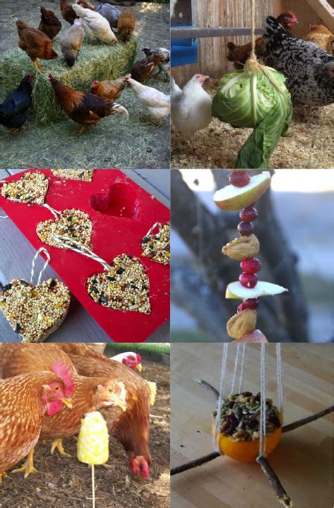 Ways To Entertain Chickens When Theyre Cooped Up In The Winter