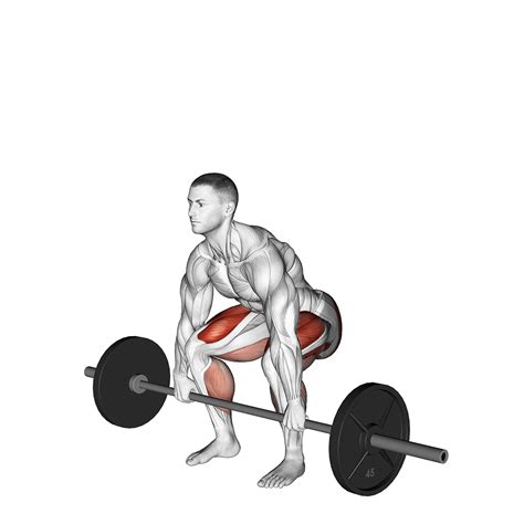 How Often Should You Deadlift Timing Explained Inspire Us