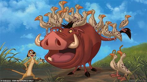 warthog covered in birds looks just like lion king s pumbaa character express digest