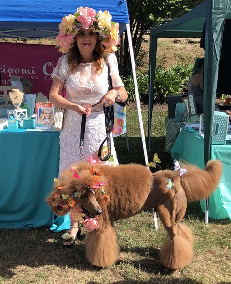 THE POODLE PARADE...WHAT AN EXTRAVAGANZA! - OMG Pet Art